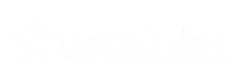 US Cellular